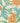 William Morris Boxed Notecard Assortment