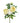 Peony Cluster Yellow White