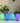 STEM Spring Collection