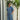 Person wearing a blue leaf patterned shirt and striped pants standing next to a potted plant indoors.