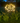 Solar Dandelion Light - Weatherproof Garden Feature