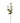 Anemone Stem White
