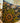 Decorative pillow with floral embroidery on a wooden chair