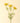 SPRAY QN ANN YELLOW