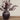 Artificial plant with dark red leaves in a rustic pot on a neutral background