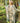 Earth & Sky Bohemian Goddess Starduster Kimono W/Trees