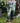 The Mythmaker Linen Crop Artist Pant w/ Pastoral Landscape
