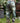 The Mythmaker Linen Crop Artist Pant w/ Pastoral Landscape